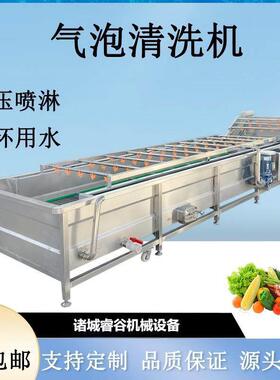 商用气泡清洗机粽子清洗流水线材天麻清洗设备净菜加工生产线