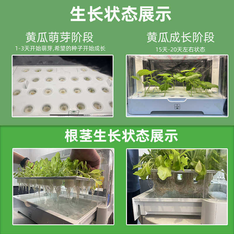 智能家庭室内水培蔬菜生菜种植水耕香菜种菜机叶菜芽菜智慧农场,鲜花速递/花卉仿真/绿植园艺,花盆,淘宝优惠券,粉丝福利购,淘宝优惠卷