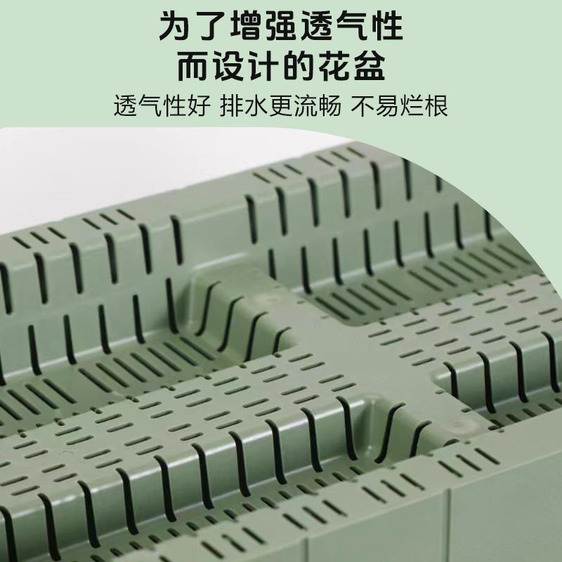 阳种菜盆用箱长方形盆蔬菜种植盆AAY户外自专吸水草台莓盆栽塑料