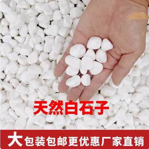 白石子烟灰缸灭烟石白色鹅卵石铺地阳台装饰景观园林天然小白石头