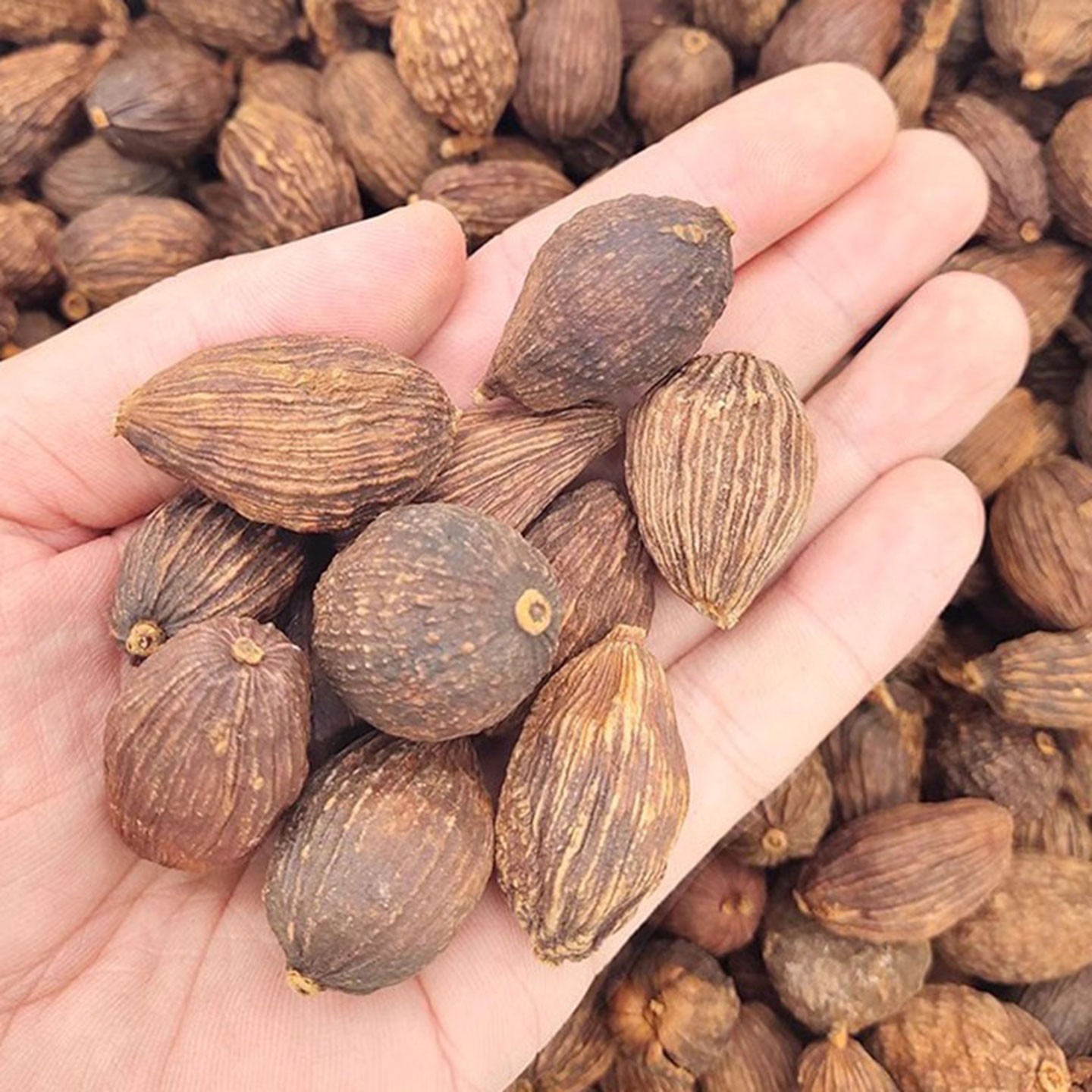 草果香料调料大全500g卤料包散装特产家用散装八角干货草果粉