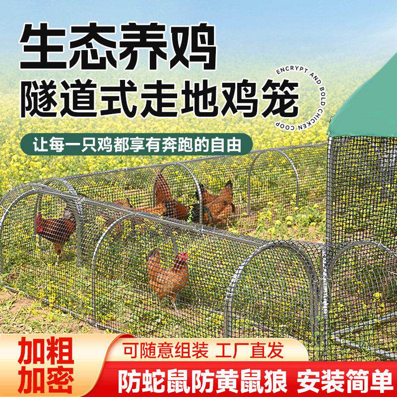 鸡笼子家用室外大号跑道走地鸡舍铁丝网围栏旧货市场养殖场专用笼