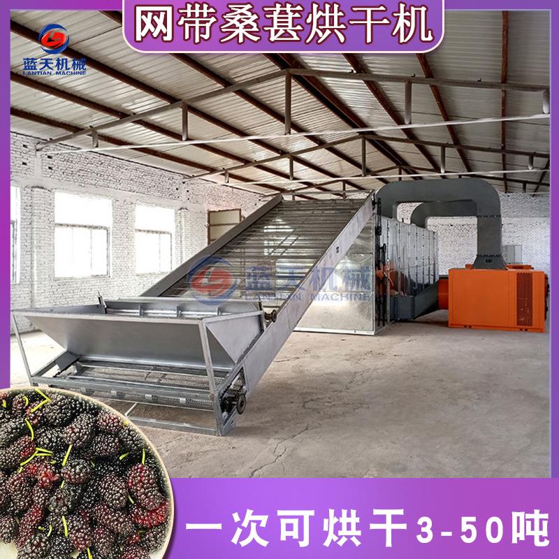 大型桑葚烘干机网带桑枣桑果脱水干燥机链条式水洗桑椹烘干设备
