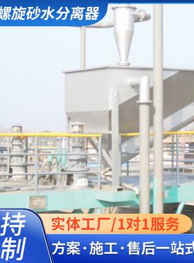 螺旋砂水分离器 厂家直供砂水分离器 LSF螺旋砂水分离器