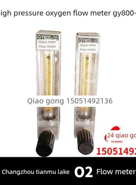 高压氧气流量计Gy800-10玻璃转子流量计O2 100-100Ol/H常州天目湖