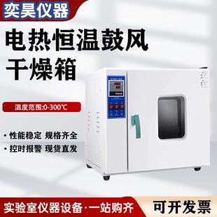 电热鼓风干燥箱高温加热小型工业烤箱实验室高温烘箱恒温烘干机