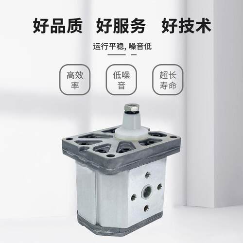 意大利液压齿轮泵GP3系列小型高压电动液压油泵 液压外啮合齿轮泵