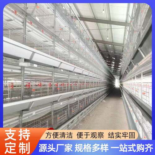 厂家定制全自动化鸡笼大层叠蛋鸡笼立式层叠鸡舍自动喂料自动清粪
