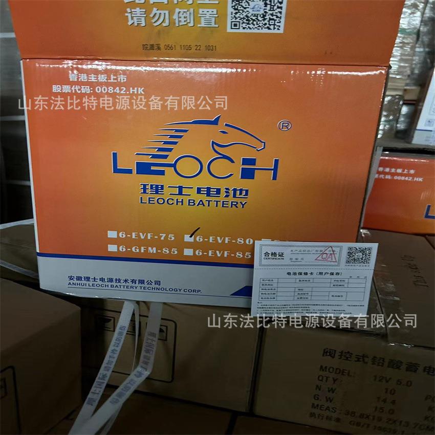 LEOCH动力蓄电池6-EVF-80电动四轮车12V80AH理士胶体蓄电池