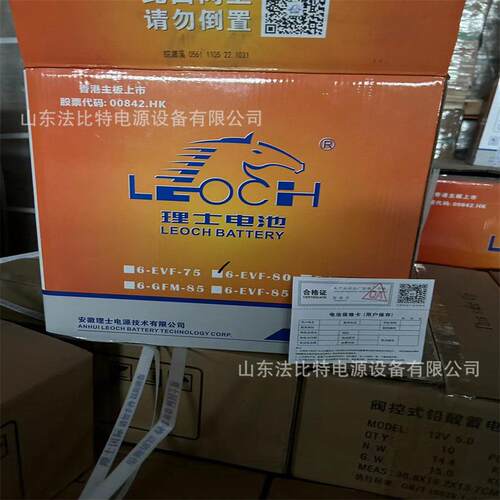 LEOCH动力蓄电池6-EVF-80电动四轮车12V80AH理士胶体蓄电池