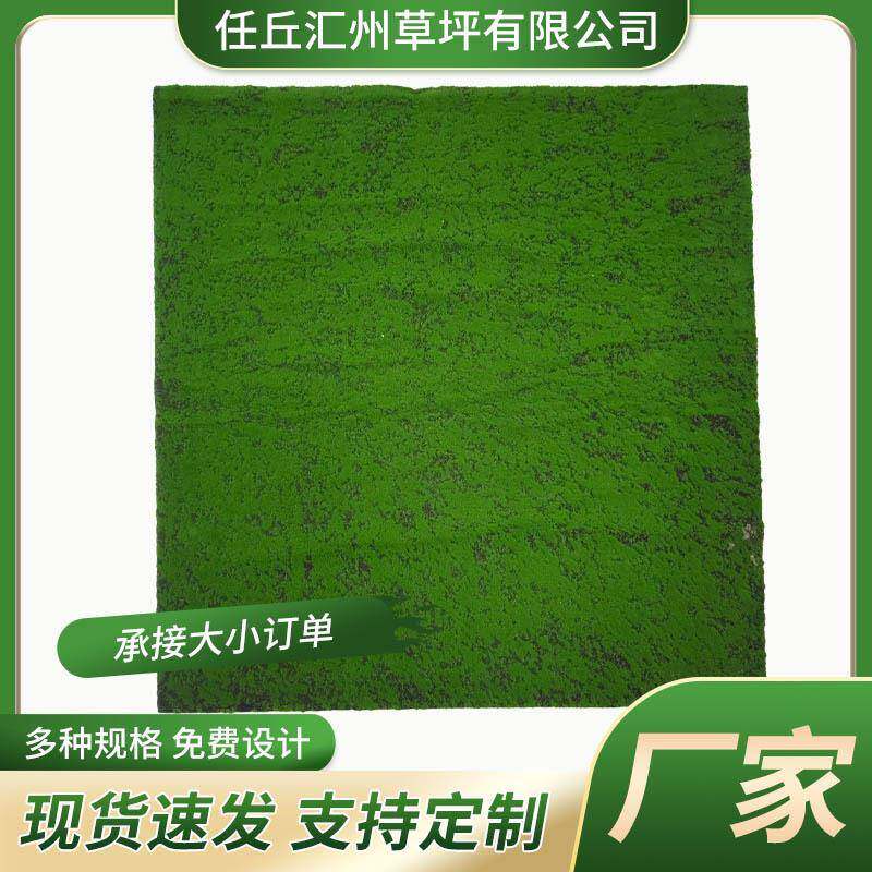 人造青苔草坪景绿色植物橱窗微观工程假藓苔造景饰全XH-CP30铺仿