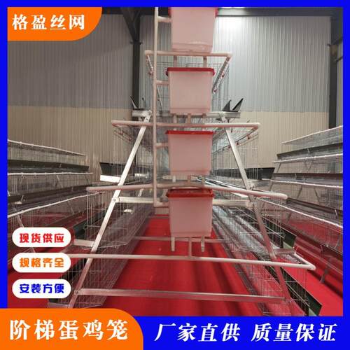 衡水鸡笼厂家全自动半自动简易镀锌鸡笼价