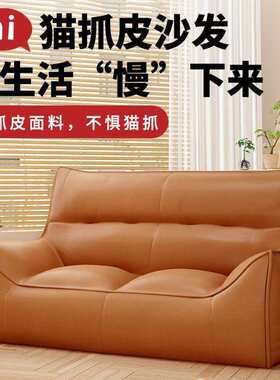双人品质沙发网红懒人沙发小户型出租屋情侣房间装饰出租房沙发