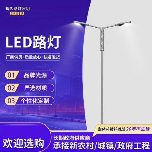 双臂杆灯led灯市电路灯投光灯户外路灯照明灯防水节能灯