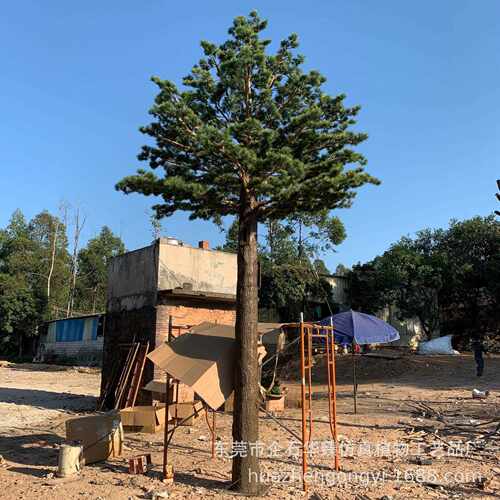 仿真迎客松HZYKS008美人松室内外真景区装树饰仿松商场机场假大型