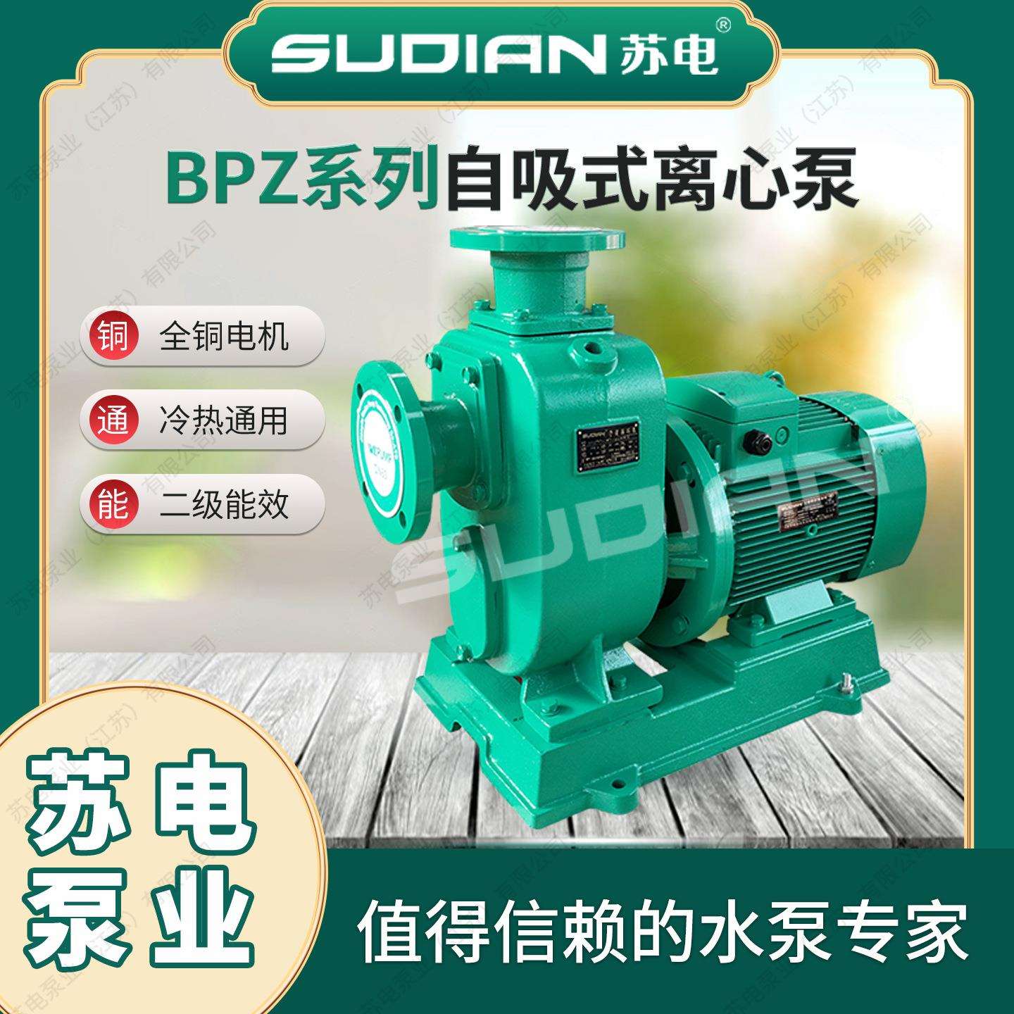 BPZ75-25-0-15/2苏道电泵业SUDIXCRAN井用河水6自吸灌溉管增压泵*