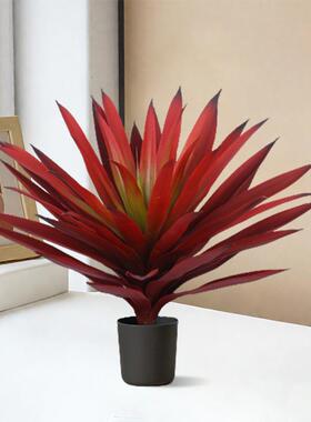 仿真红叶龙舌兰剑兰盆栽沙漠假绿植橱窗装饰摆件热带仿真植物造景