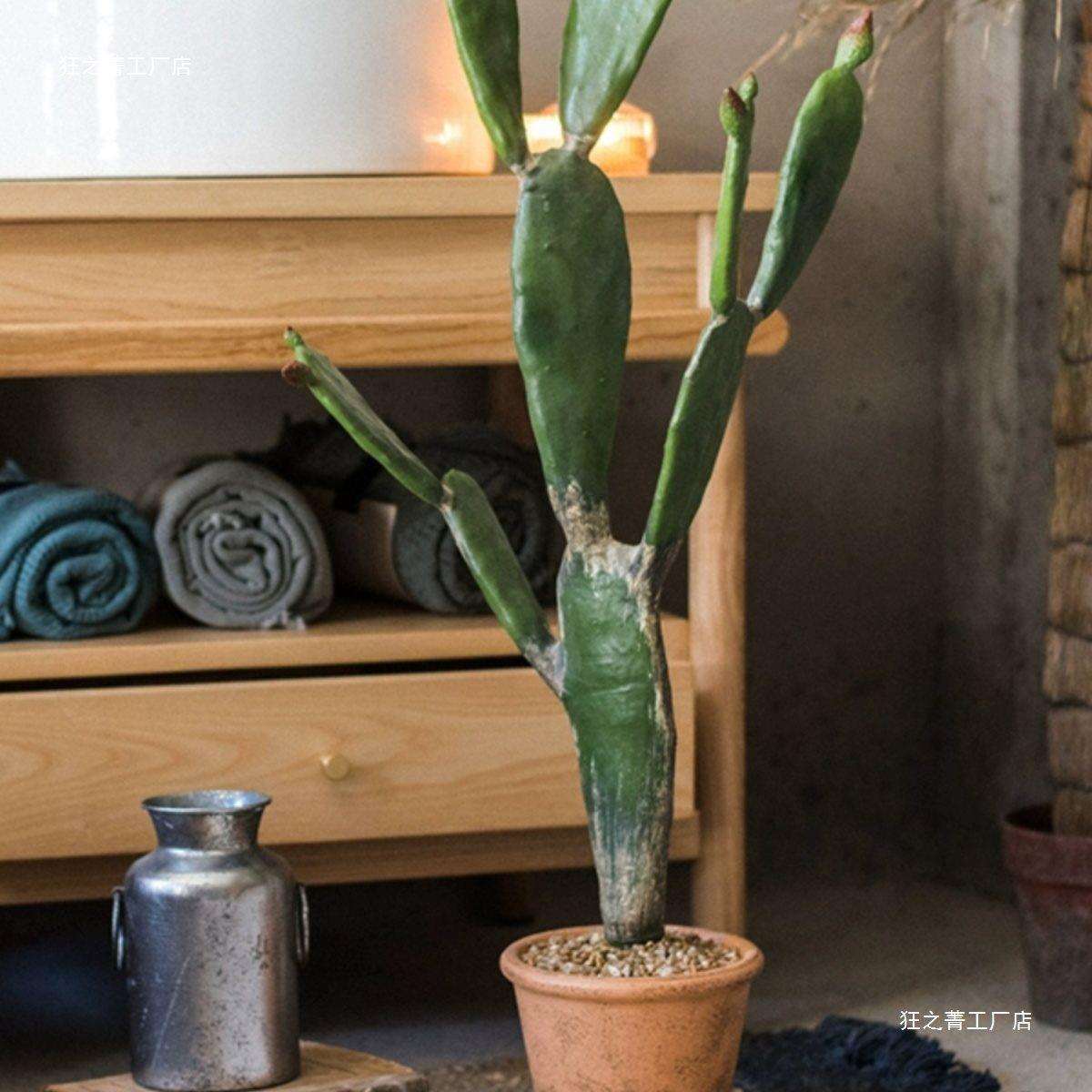 大型仙人掌植物盆景热带沙漠绿植雷鬼装饰摆件假树仿生