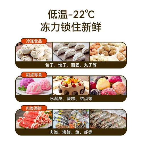 商用立式冰柜超市鲜冻肉速冻生HR1860LD冰箱低温冻品柜包子汤圆冷