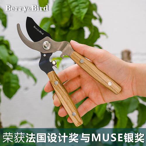 Berry&Bird园艺修枝剪家用花卉盆景造型粗枝专用剪刀省力园林果树