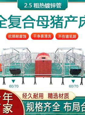 河南老母猪产床双体连体保育定位栏限位栏养殖设备猪用产子分娩床