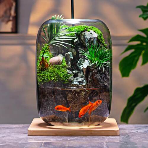 石上清泉流水款养鱼缸真植物苔藓微景观生态瓶办公室成品室内送礼