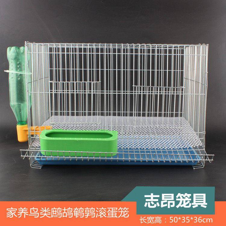 芦丁鸡养殖笼小型滚蛋鹌鹑笼家庭养殖小鸡鸟类鹧鸪鸽子鹦鹉下蛋笼