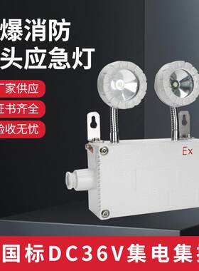 消防应急灯新国标LED防爆照明灯36V安全出口指示牌疏散应急双头灯