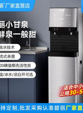 碧丽商用饮水机立式直饮全自动智能不锈钢即热式冷热净水器一体