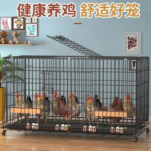 鸡笼子自动清粪大号户外鸡窝养殖笼鸡舍家用多层鸭笼鸡笼子铁鸡笼