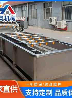 气泡清洗机多功能洗菜机酱腌菜脱盐清洗设备高压喷淋式清洗风干线