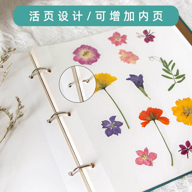植物标本收集册树叶干花压花收纳册活页卡册覆膜diy相册创意手工