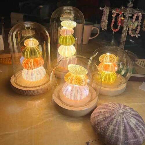 新产品同款手工DIY海胆夜灯家居床头柜暖光气氛灯夜光饰品