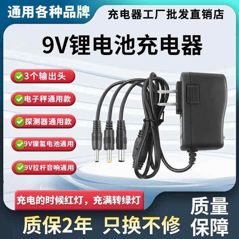 9V1A2A电子秤音响镍氢聚合物金属探测仪器2串18650锂电池充电器线