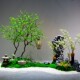 大型假树仿真树钟绿植树景水观装 禅意流造景室内庭院摆 RYC饰中式