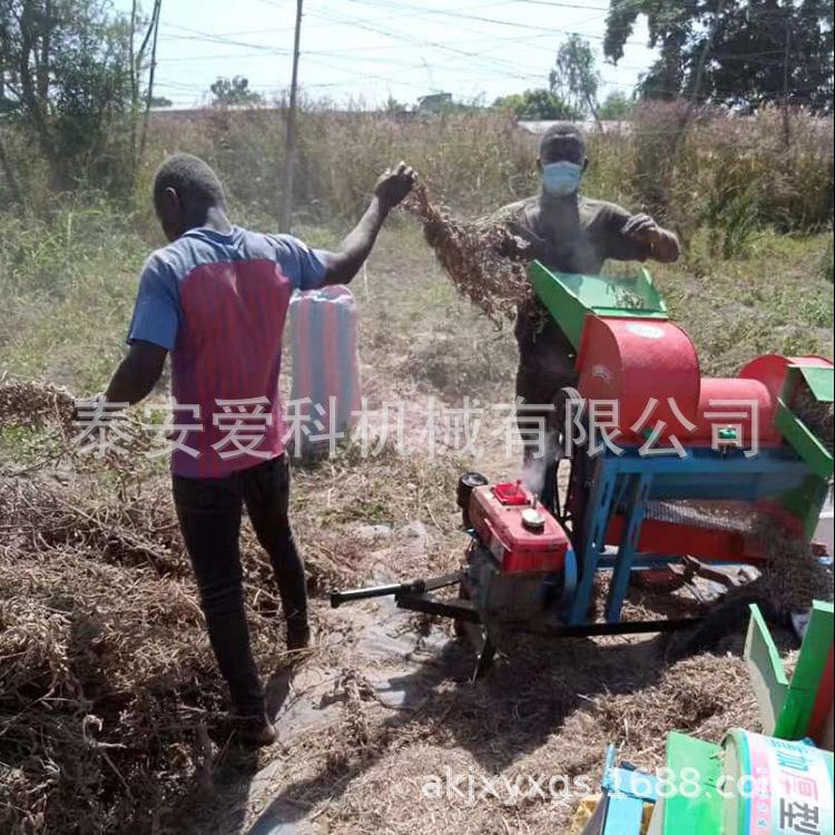 出口各型号谷子高粱脱粒机柴电两用大豆打粒机油菜籽脱粒机打谷机