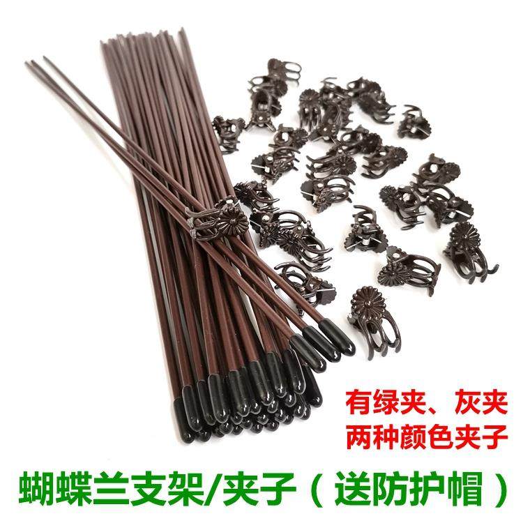 蝴蝶兰花支架兰花金钱树植物支撑杆防倒伏固定花夹子植物爬藤架子,鲜花速递/花卉仿真/绿植园艺,花架,淘宝优惠券,粉丝福利购,淘宝优惠卷