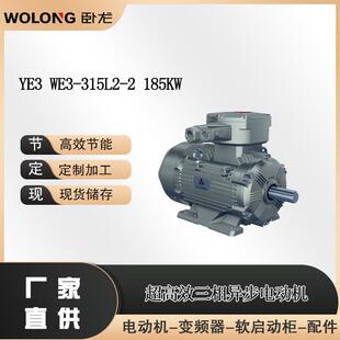 YE3WE3 2185W永磁变频同步电动机变频调速一体机 315L2