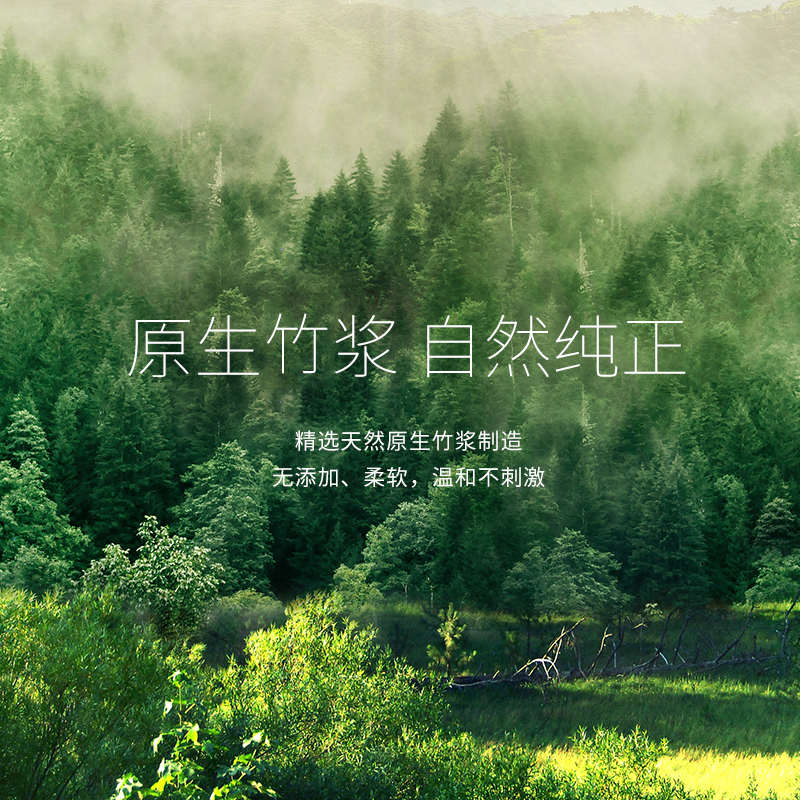 商用大盘纸厕纸酒店家用卫生纸丽之缘本色大卷纸800克12卷实惠装