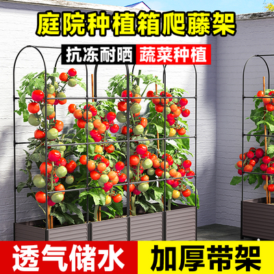 种植箱种菜盆花盆爬藤架黄瓜盆花园藤架楼顶菜园蔬菜阳台种菜架子