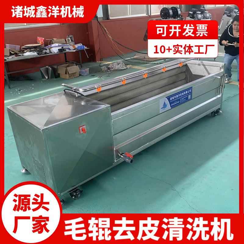 带皮猪肉辊去皮清洗机KVY材 药中药去皮机 萝卜毛冬瓜西葫芦山脱