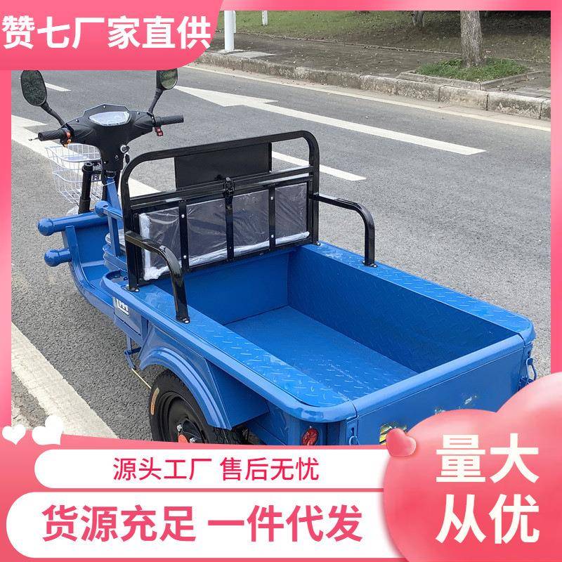 电动三轮车拉货车新款家用电瓶车成人代步小型摆摊平板车接送孩子