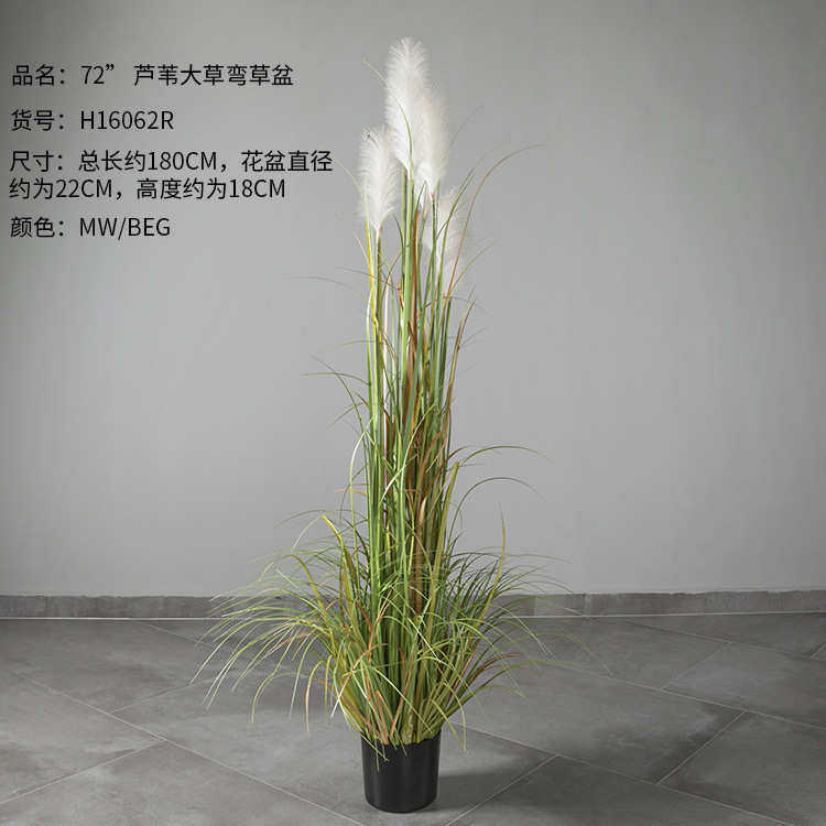 现货芦苇洋葱批发草大假盆景草植物大型花北欧仿真弯摆设仿真芦苇