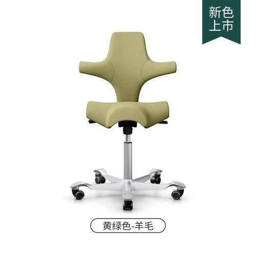 正品挪威进HAGCapisco骑马椅真皮款 人体工学口电脑公椅 羊毛软包