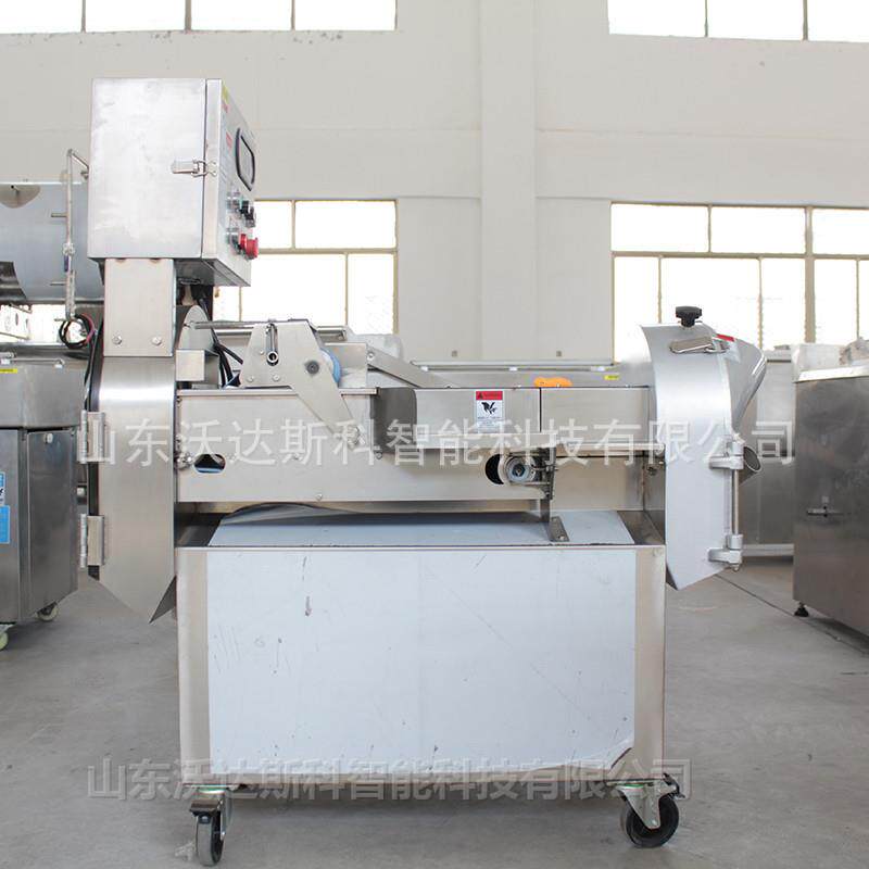 球茎类切段切丝切片设备芦荟切粒切条机器食品级蔬菜切菜机