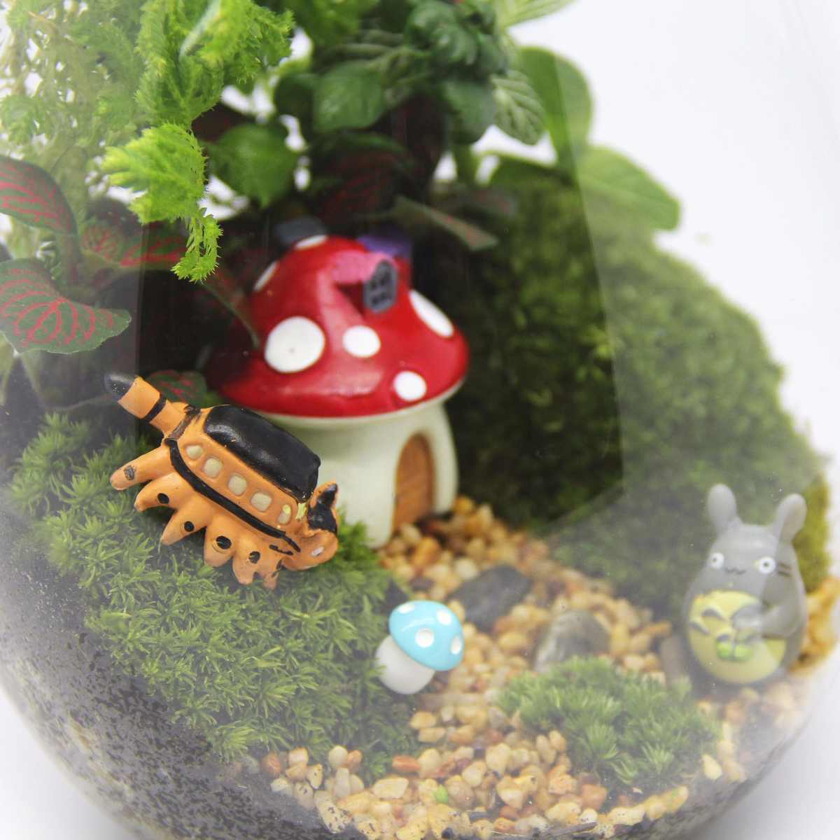 苔藓微景观 创意礼品摆件 绿植 苔藓瓶生态瓶 水滴瓶植物 小世界