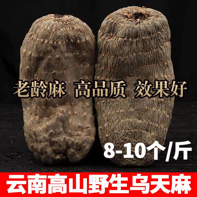 云南野生乌天麻农家深山采挖自然晒干无熏硫正品高龄麻干货250g