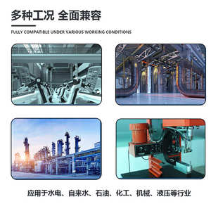 智能数字压力控制器智能压力开关4-20mA加两路继电器开关自动控制