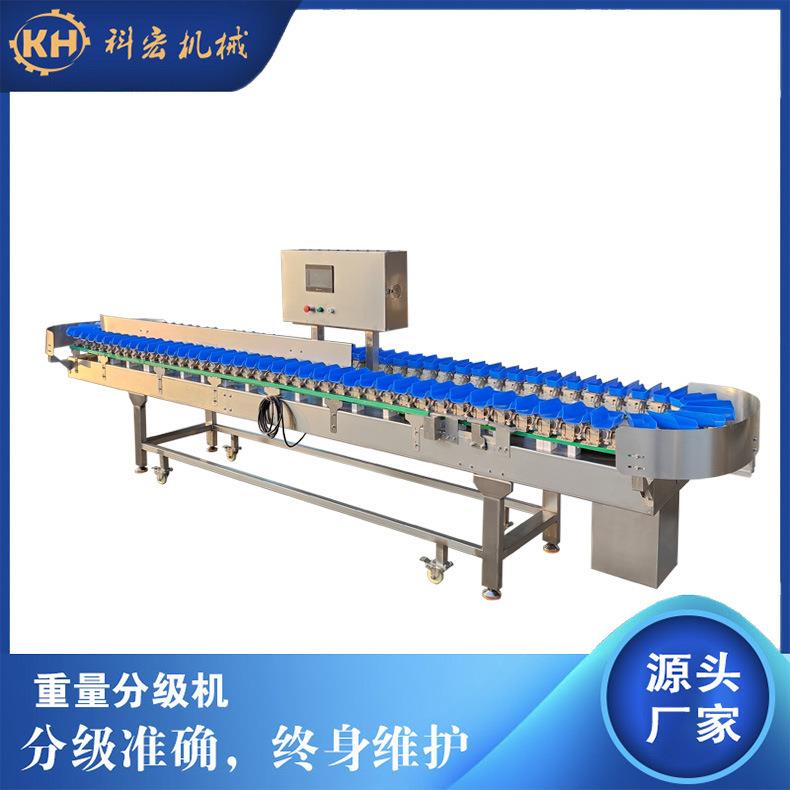 重量分选机称重设备沙丁鱼刀鱼鲢鱼分拣机海鲜多级重量分级机