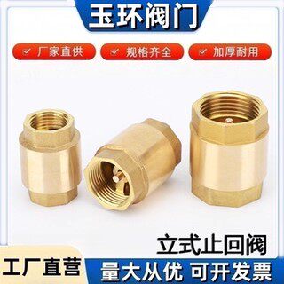 黄铜止回阀弹簧立式止回阀单向阀水管螺纹阀门4分dn15逆止阀6分
